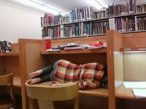 英语不佳的初出国者 在图书馆租书时的尴尬瞬间