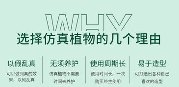 东莞森林仿真工艺品厂 专注蕨类仿真植物批发，出版物零售多元发展